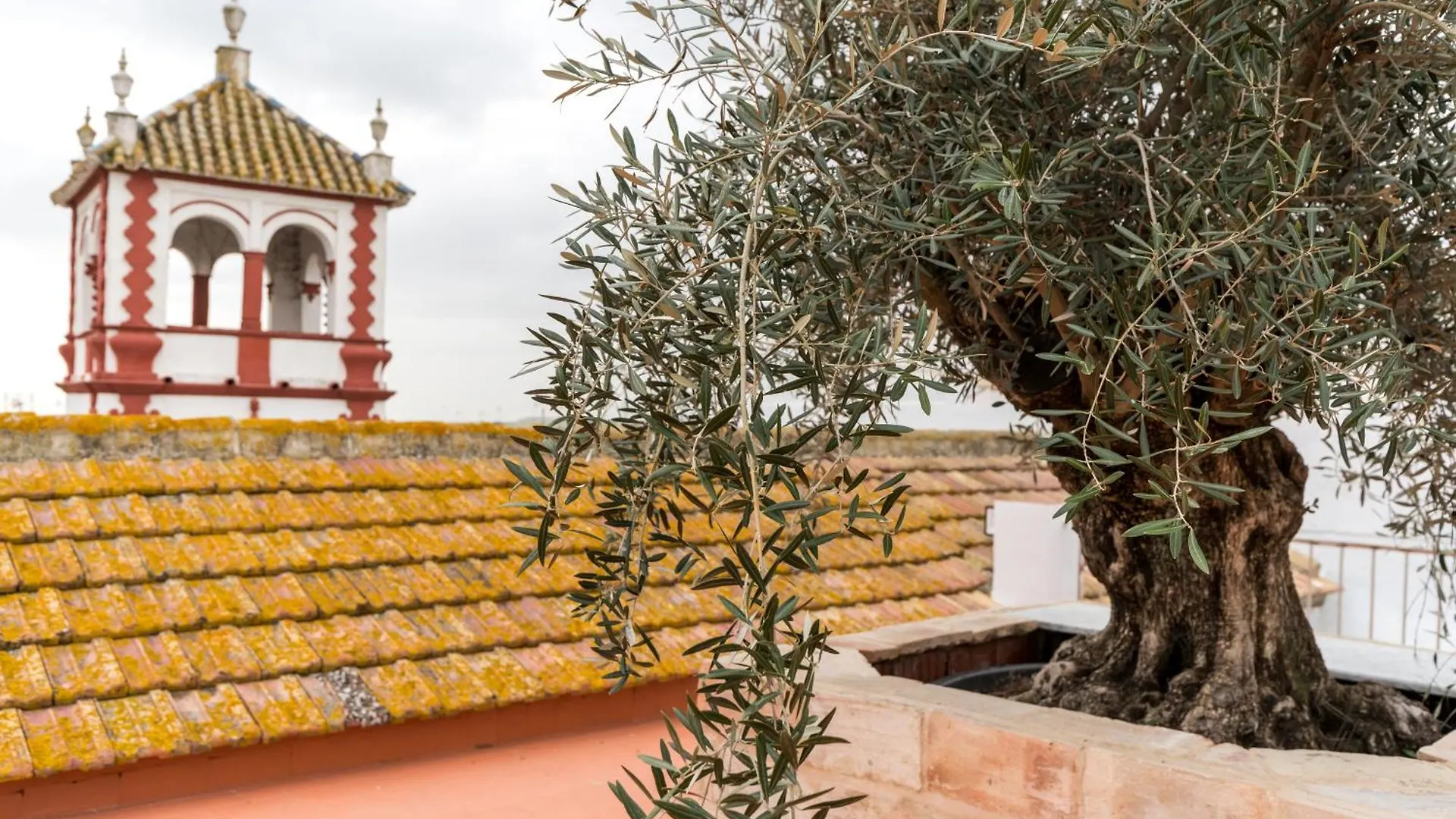 Casa Palacio De La Carrera Fuentes de Andalucia