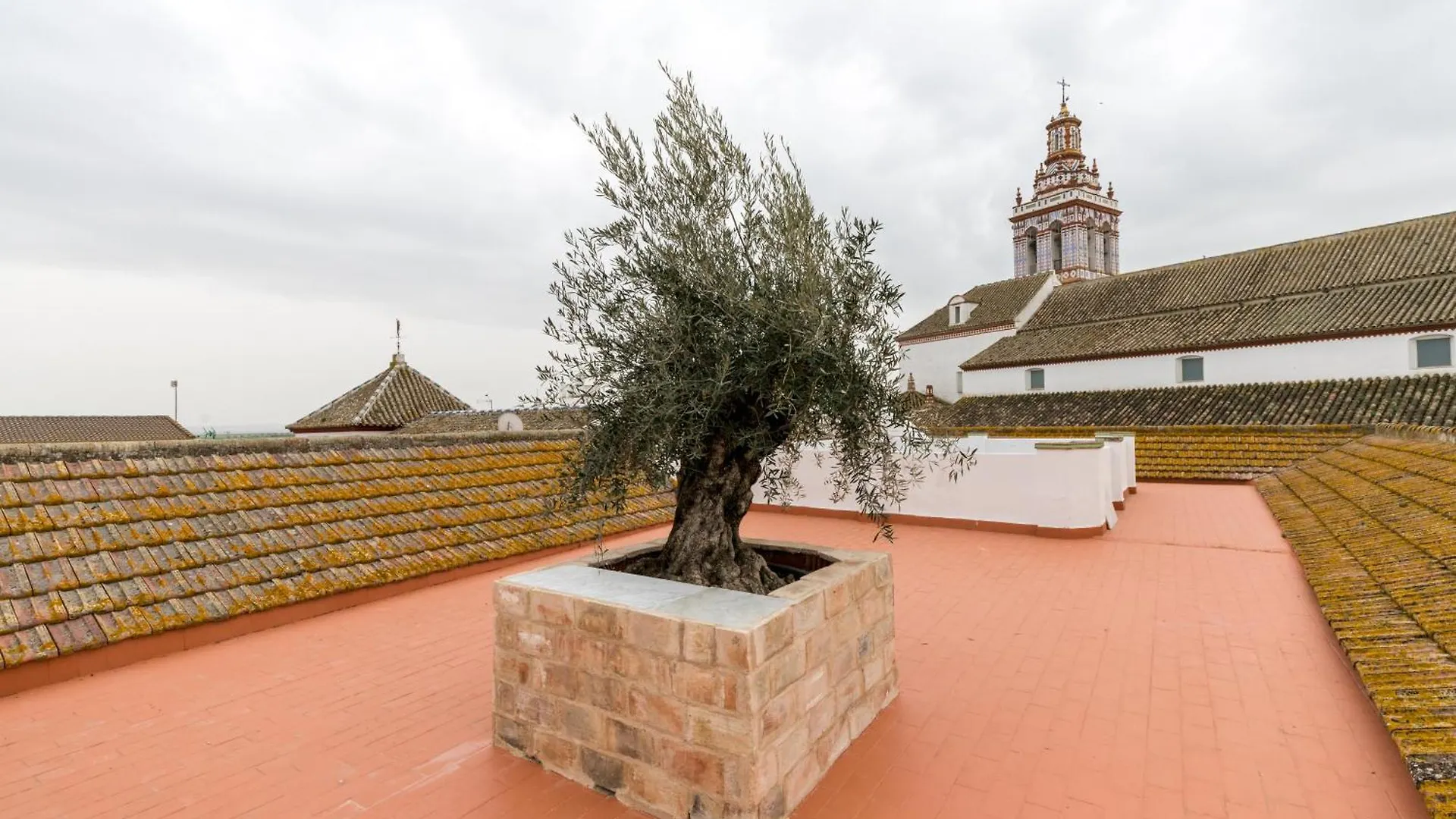 Casa Palacio De La Carrera Fuentes de Andalucia 0*,  Spain